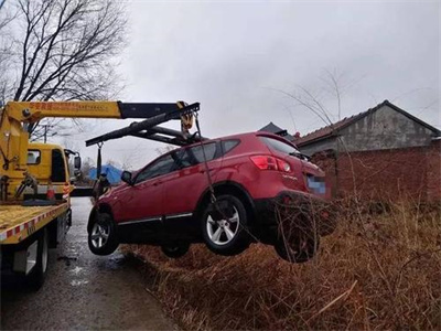 望奎楚雄道路救援